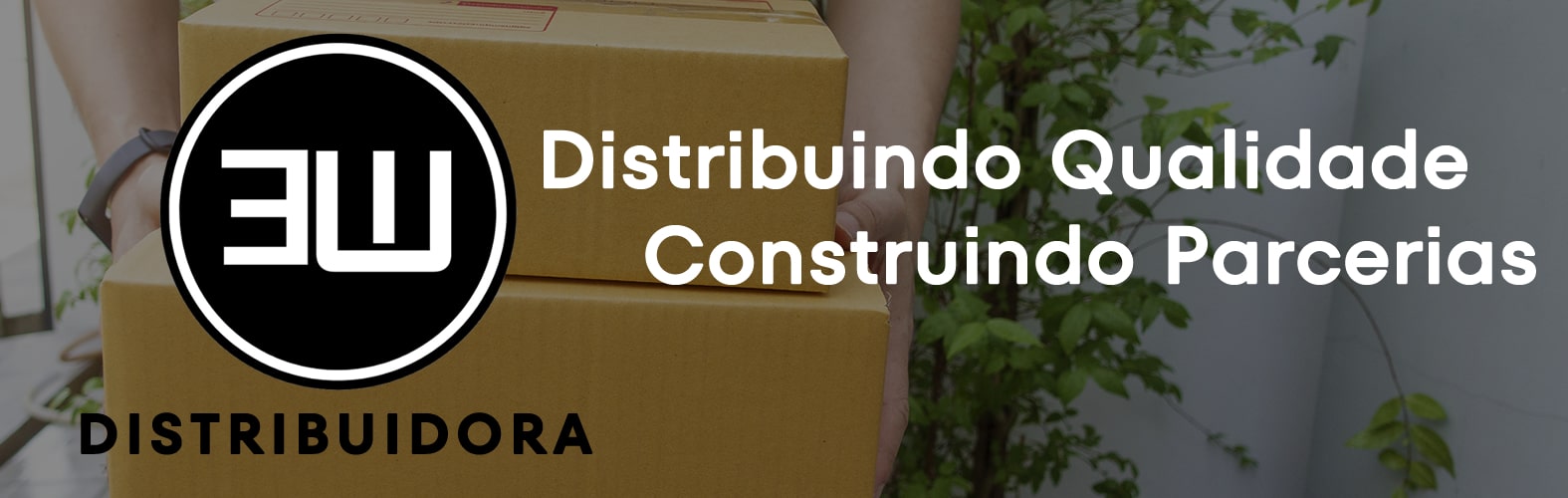 Masterpro Nivo Slider 3.x